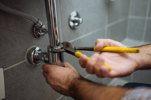 Best Sewer Line Replacement  in Lacoochee, FL